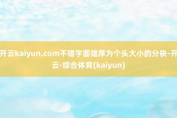 开云kaiyun.com不错字面雄厚为个头大小的分袂-开云·综合体育(kaiyun)