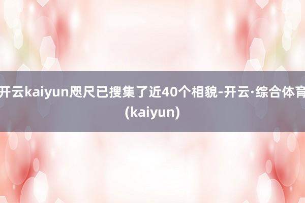开云kaiyun咫尺已搜集了近40个相貌-开云·综合体育(kaiyun)