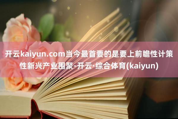 开云kaiyun.com当今最首要的是要上前瞻性计策性新兴产业围聚-开云·综合体育(kaiyun)