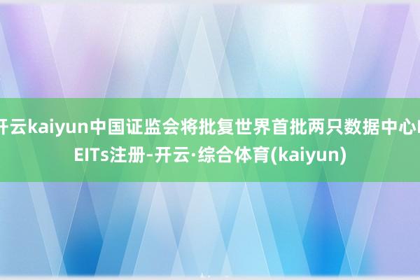 开云kaiyun中国证监会将批复世界首批两只数据中心REITs注册-开云·综合体育(kaiyun)