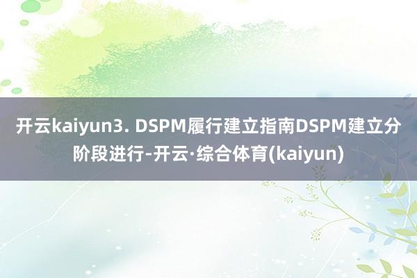 开云kaiyun3. DSPM履行建立指南DSPM建立分阶段进行-开云·综合体育(kaiyun)