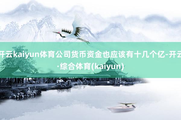 开云kaiyun体育公司货币资金也应该有十几个亿-开云·综合体育(kaiyun)