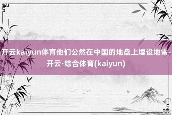 开云kaiyun体育他们公然在中国的地盘上埋设地雷-开云·综合体育(kaiyun)