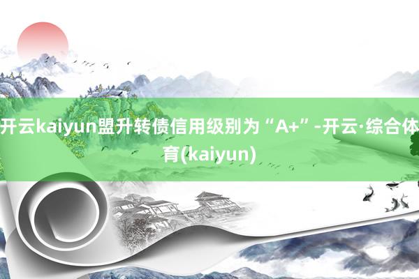 开云kaiyun盟升转债信用级别为“A+”-开云·综合体育(kaiyun)
