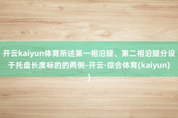 开云kaiyun体育所述第一相沿腿、第二相沿腿分设于托盘长度标的的两侧-开云·综合体育(kaiyun)