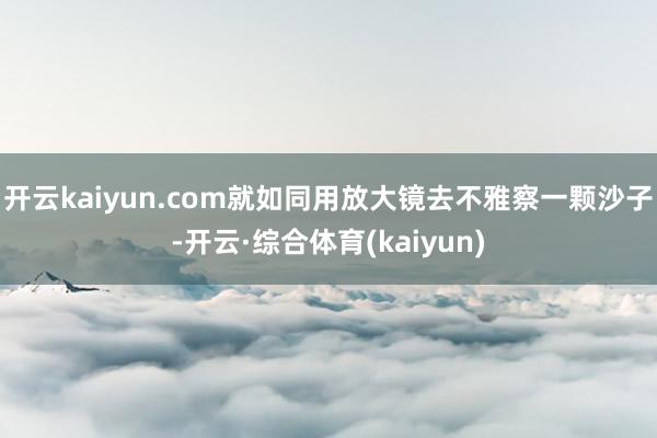 开云kaiyun.com就如同用放大镜去不雅察一颗沙子-开云·综合体育(kaiyun)