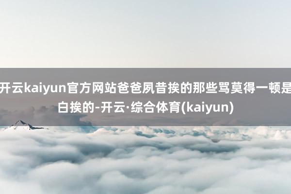 开云kaiyun官方网站爸爸夙昔挨的那些骂莫得一顿是白挨的-开云·综合体育(kaiyun)