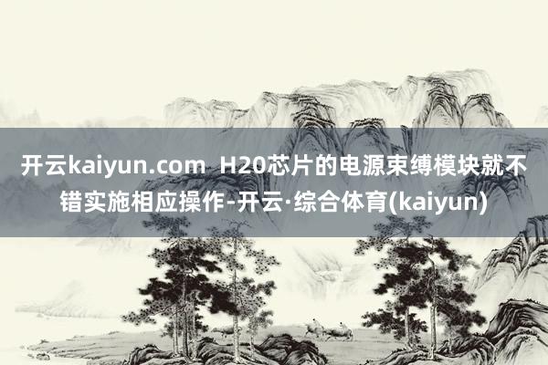 开云kaiyun.com  H20芯片的电源束缚模块就不错实施相应操作-开云·综合体育(kaiyun)