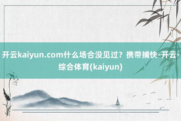 开云kaiyun.com什么场合没见过?携带捕快-开云·综合体育(kaiyun)