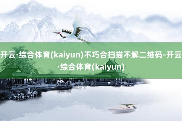 开云·综合体育(kaiyun)不巧合扫描不解二维码-开云·综合体育(kaiyun)