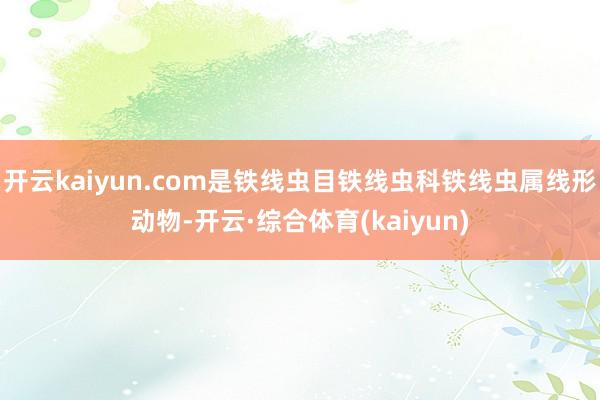 开云kaiyun.com是铁线虫目铁线虫科铁线虫属线形动物-开云·综合体育(kaiyun)