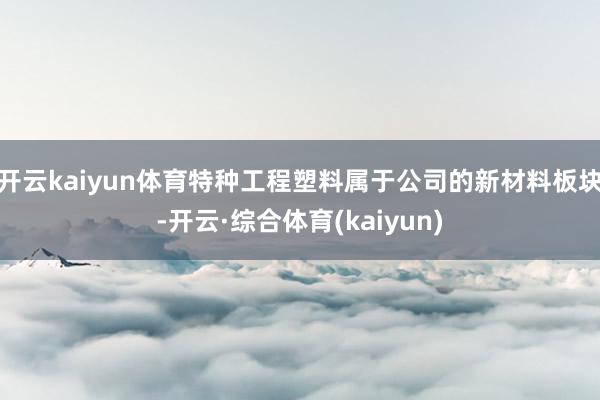 开云kaiyun体育特种工程塑料属于公司的新材料板块-开云·综合体育(kaiyun)
