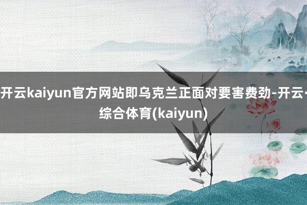 开云kaiyun官方网站即乌克兰正面对要害费劲-开云·综合体育(kaiyun)
