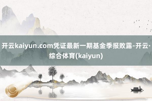 开云kaiyun.com凭证最新一期基金季报败露-开云·综合体育(kaiyun)