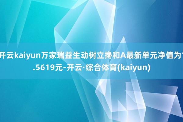 开云kaiyun万家瑞益生动树立搀和A最新单元净值为1.5619元-开云·综合体育(kaiyun)