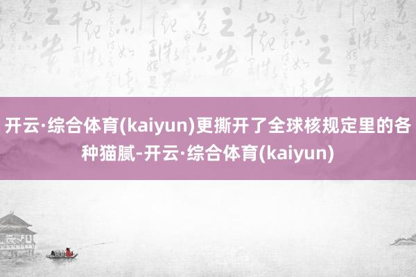 开云·综合体育(kaiyun)更撕开了全球核规定里的各种猫腻-开云·综合体育(kaiyun)
