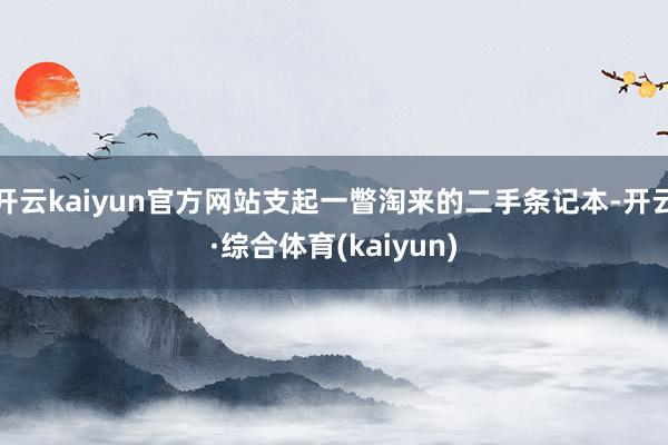 开云kaiyun官方网站支起一瞥淘来的二手条记本-开云·综合体育(kaiyun)